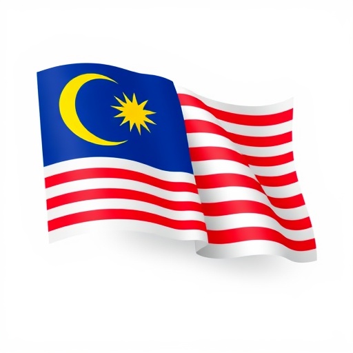 马来西亚